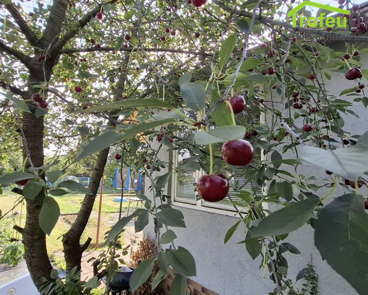 Działka Sprzedaż Grudziądz