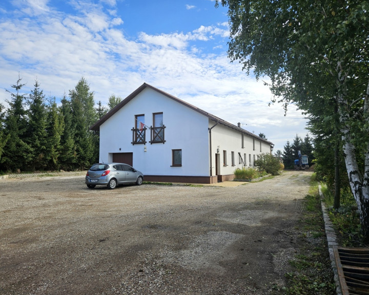 Mieszkanie Wynajem Jeżewo